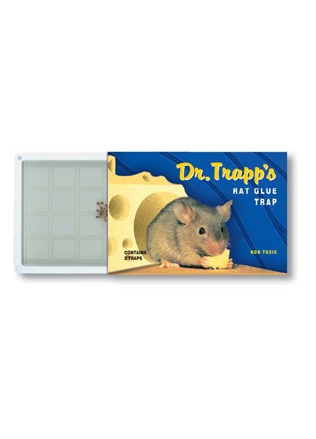 Dr. Trapp’s μεγάλη