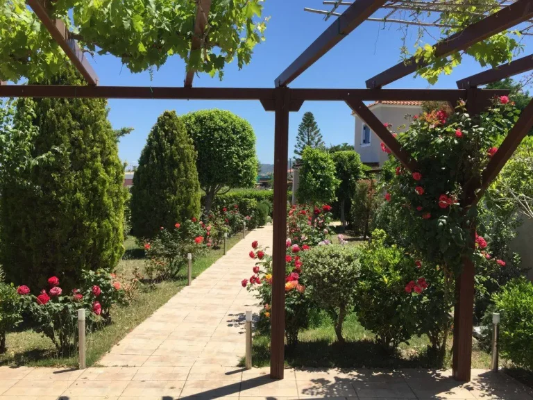 Κατασκευή κήπου σε εξοχική κατοικία στην Αίγινα