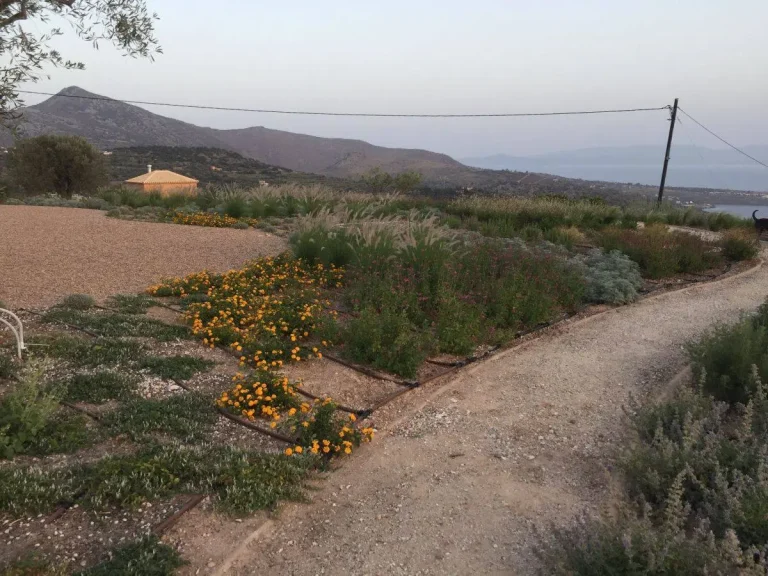 Κατασκευή κήπου σε εξοχική κατοικία στην Αίγινα