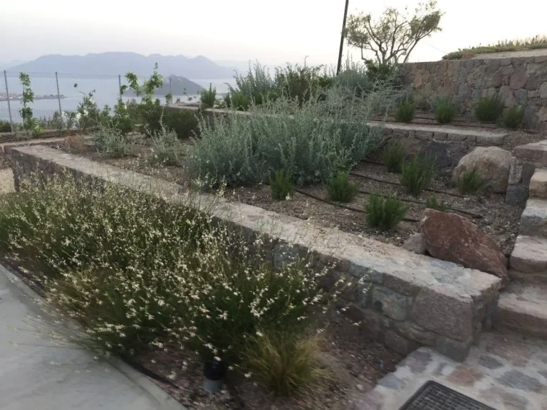 Συντήρηση και περιποίηση κήπου