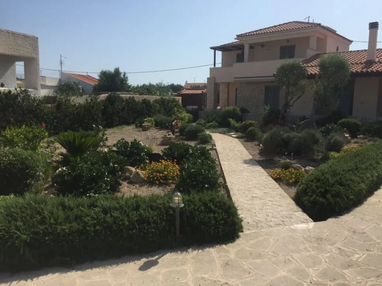 Συντήρηση και περιποίηση κήπου σε εξοχική κατοικία στην Αίγινα