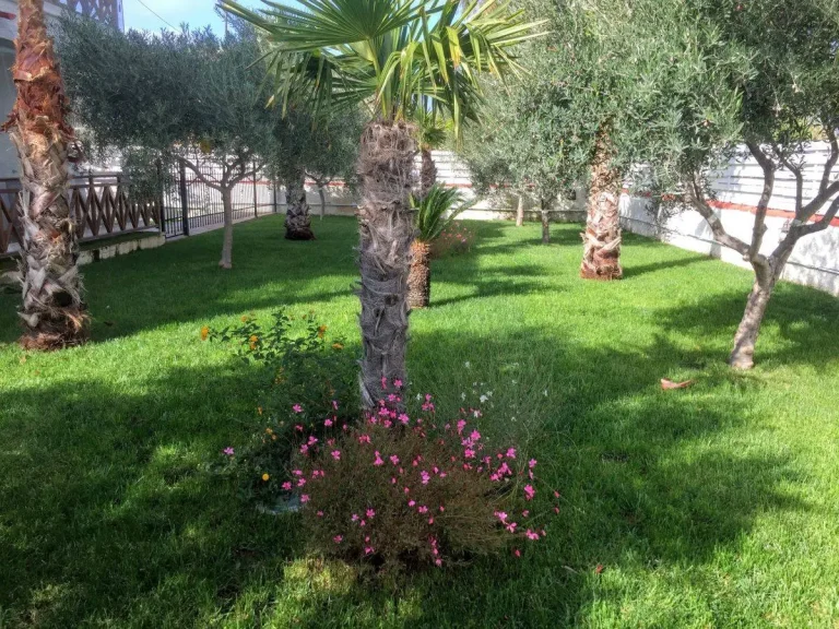 Φύτευση καλλωπιστικών φυτών σε ιδιωτικό κήπο στην Αίγινα