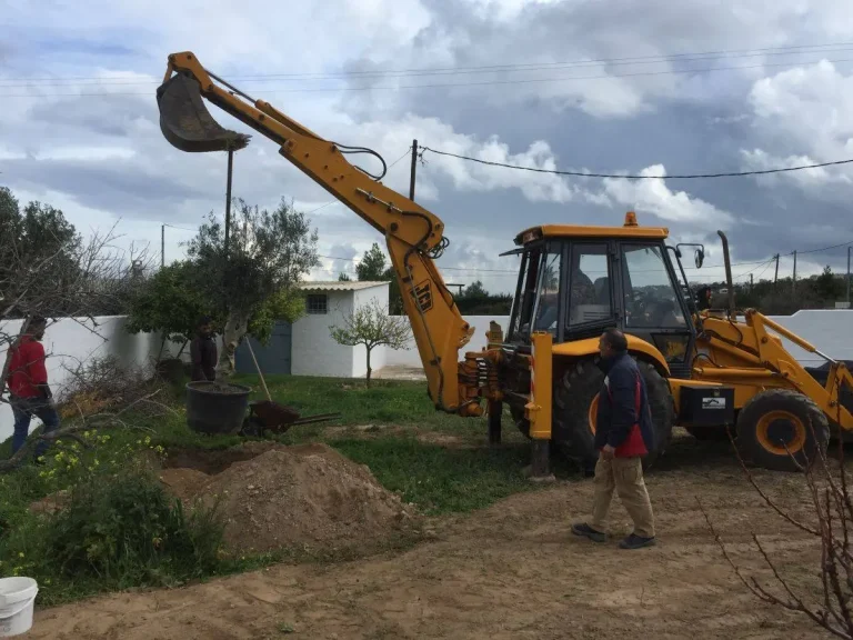 Φύτευση καλλωπιστικών φυτών σε ιδιωτικό κήπο