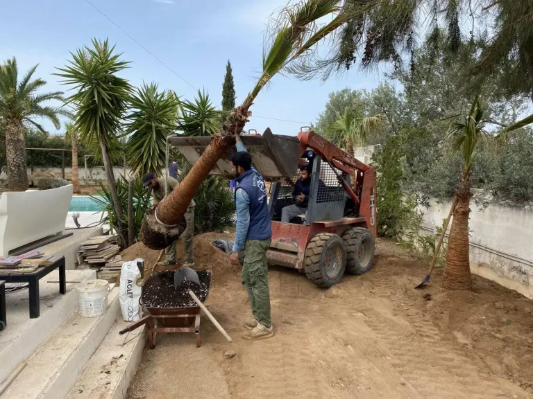 Φύτευση καλλωπιστικών φυτών σε ιδιωτικό κήπο στην Αίγινα