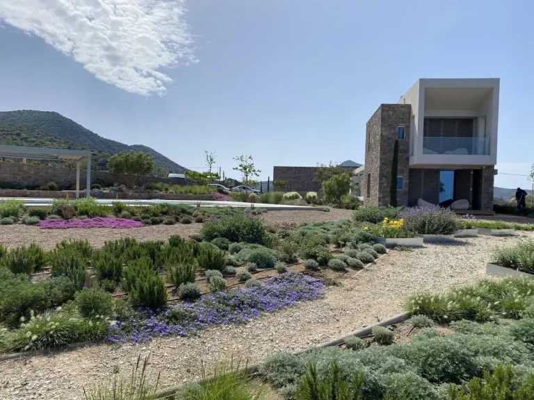 Διαμόρφωση εξωτερικού χώρου με φυτεύσεις στην Αίγινα
