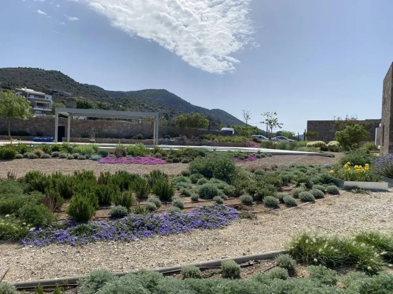 Κατασκευή κήπου σε κατοικία στην Αίγινα