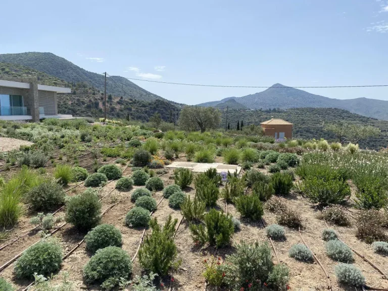 Διαμόρφωση εξωτερικού χώρου με φυτεύσεις στην Αίγινα