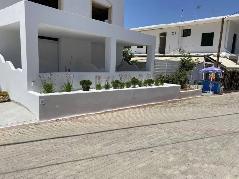 φύτευση φυτών, διαμόρφωση εξωτερικού χώρου