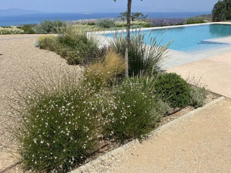 φύτευση καλλωπιστικών φυτών σε ιδιωτικό κήπο