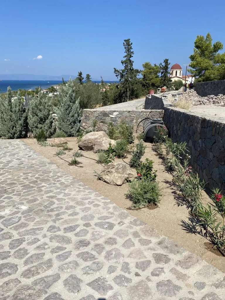 Συντήρηση κήπου με μεσογειακά φυτά στην Αίγινα